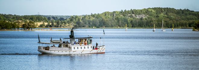 Ångfartyget S/S Ejdern