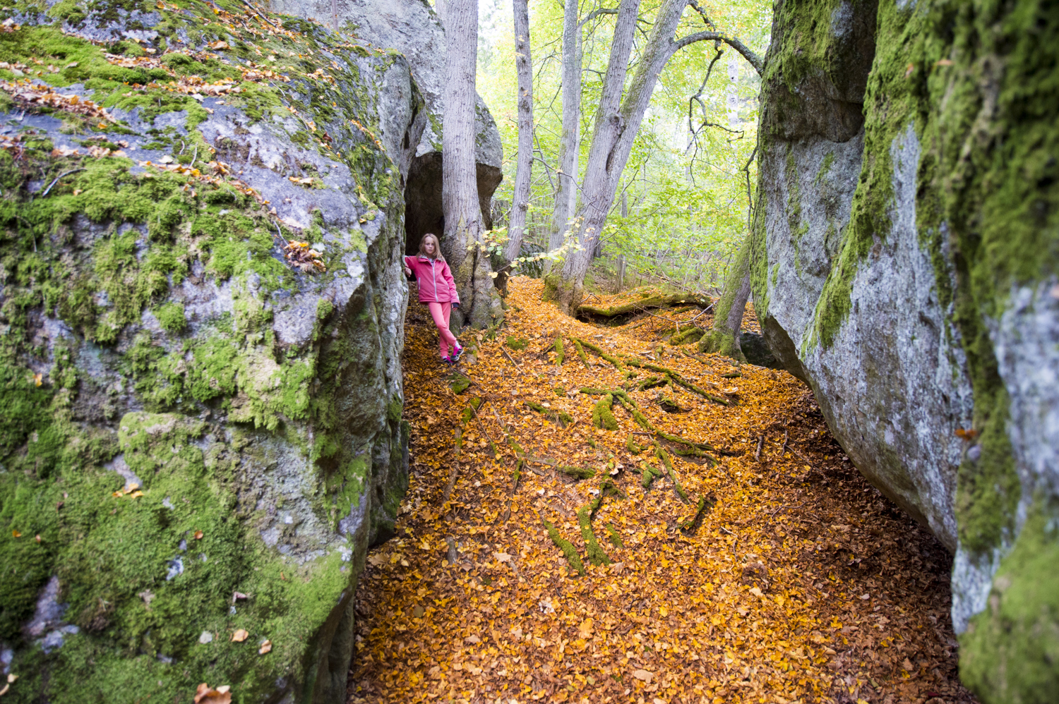 För naturälskaren