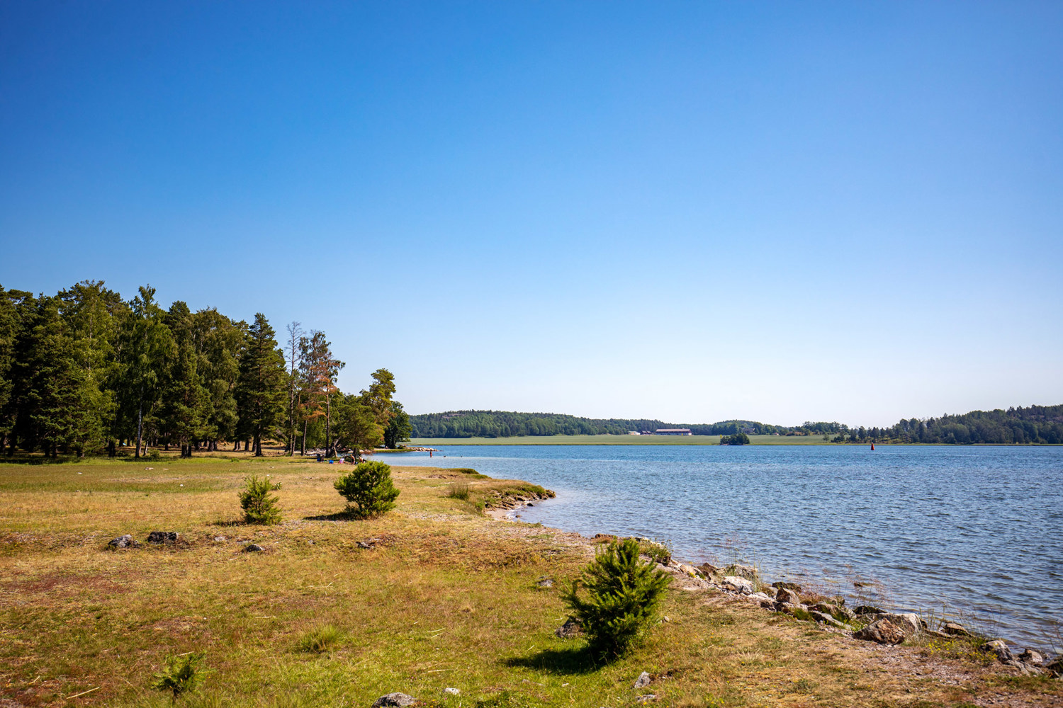 För vattenälskaren