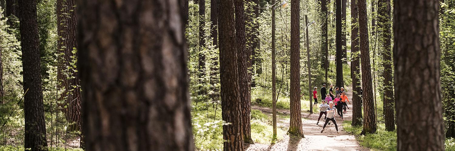 löpare i skogen vid Kusens backe