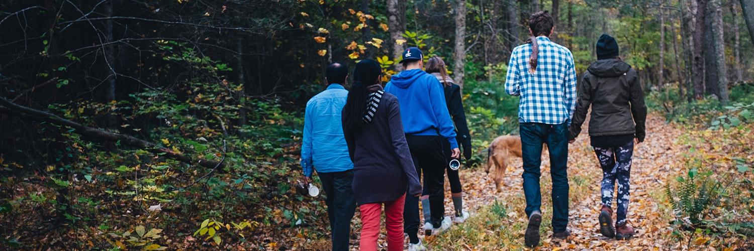 människor som vandrar i skogen