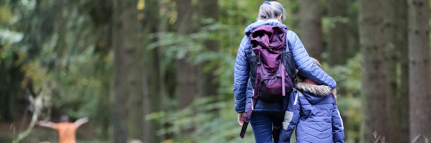 människor som vandrar i skogen