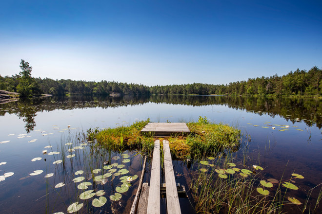 a peaceful lake