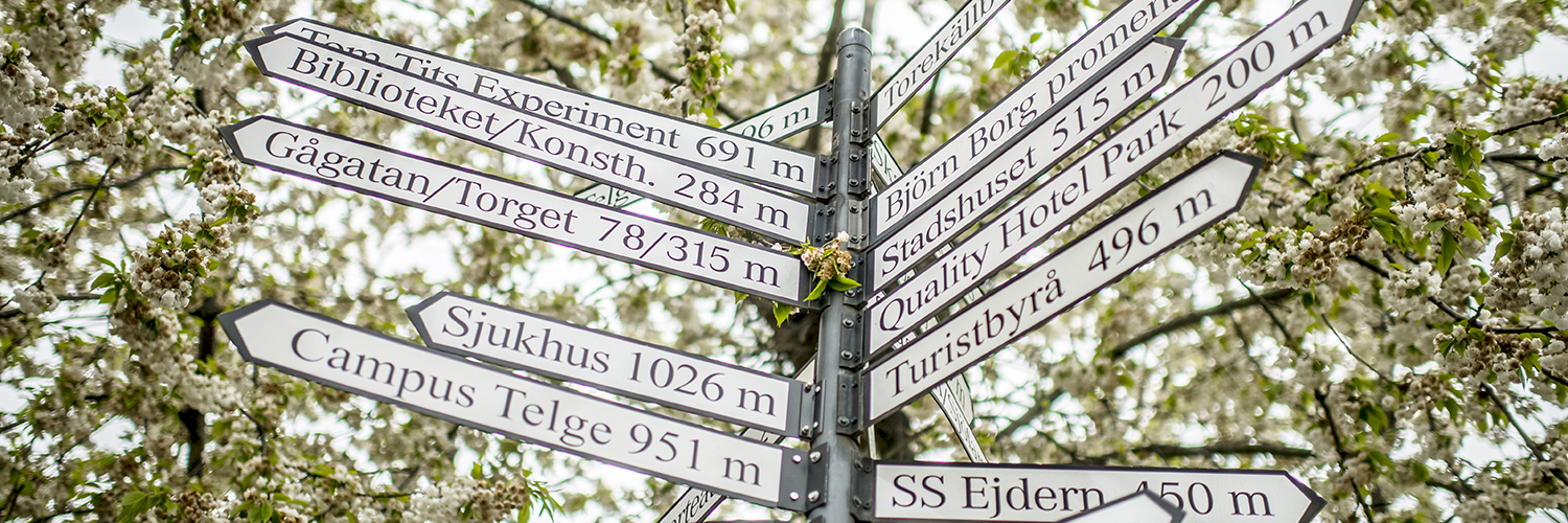 Stolpe med flera skyltar med vägvisning